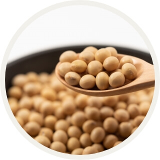 砂糖のこだわり